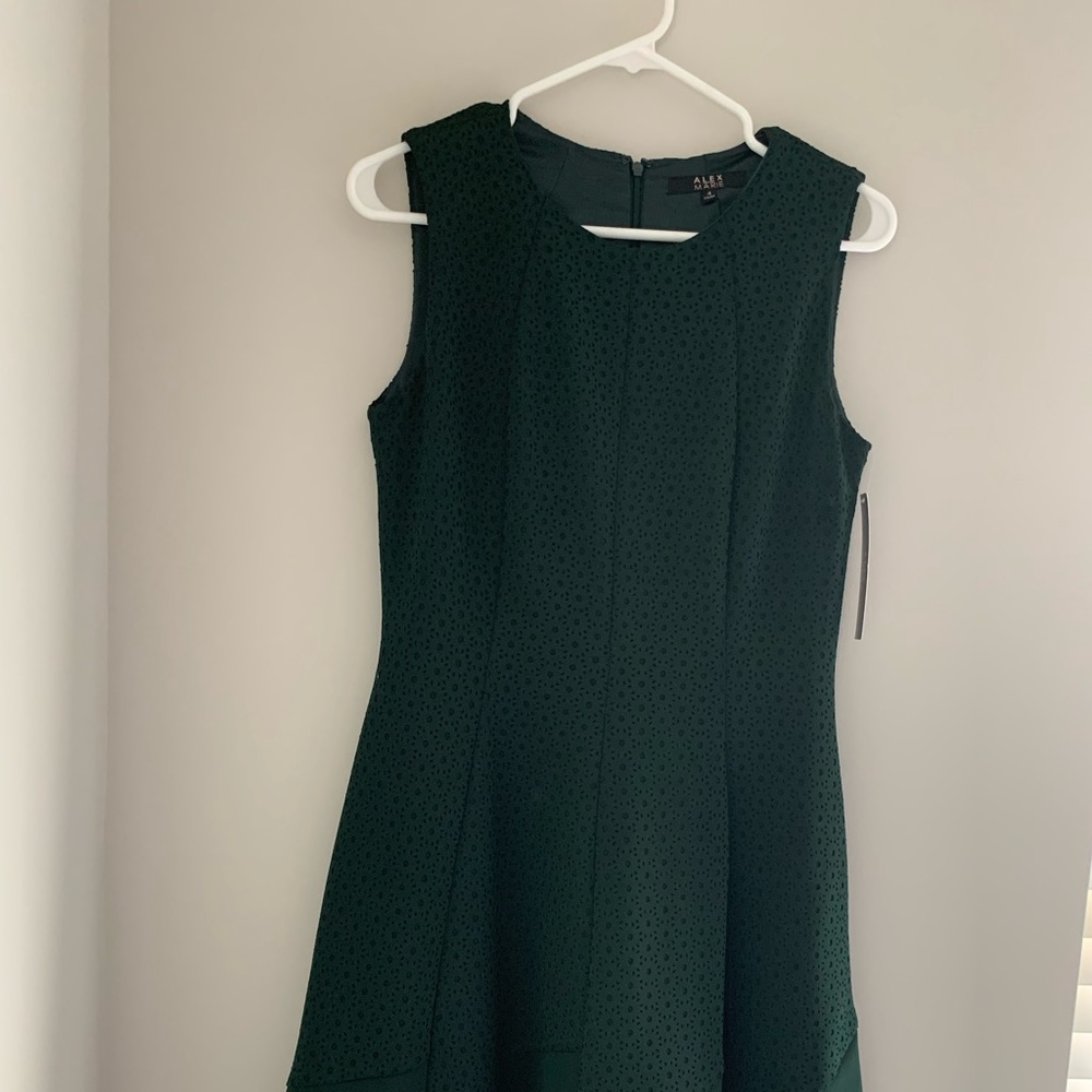 Alex Marie Dark Green Sleeveless Dress - Picture 9 of 11